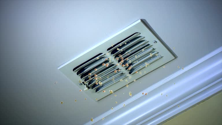 Best Affordable HVAC Duct Cleaning  in Gulf Shores, AL