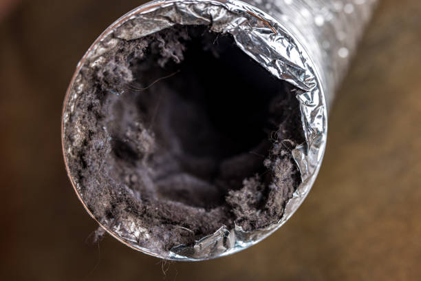 Home Air Vent Cleaning in Gulf Shores, AL