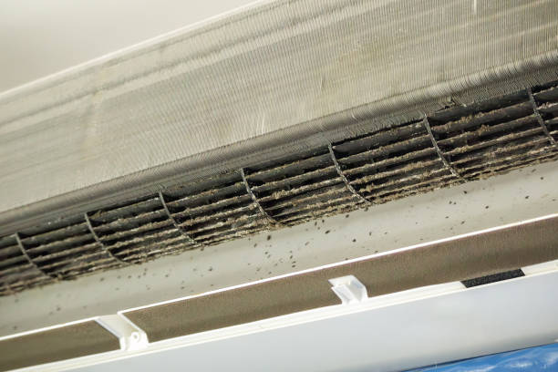 Best Air Quality Test  in Gulf Shores, AL