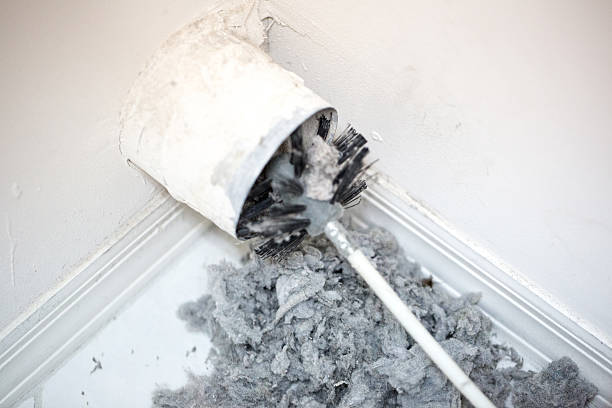 Air Duct Mold Removal in Gulf Shores, AL
